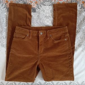 Golden brown Patagonia Corduroy pants